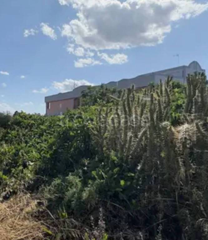 immagine annuncio 8 di 12