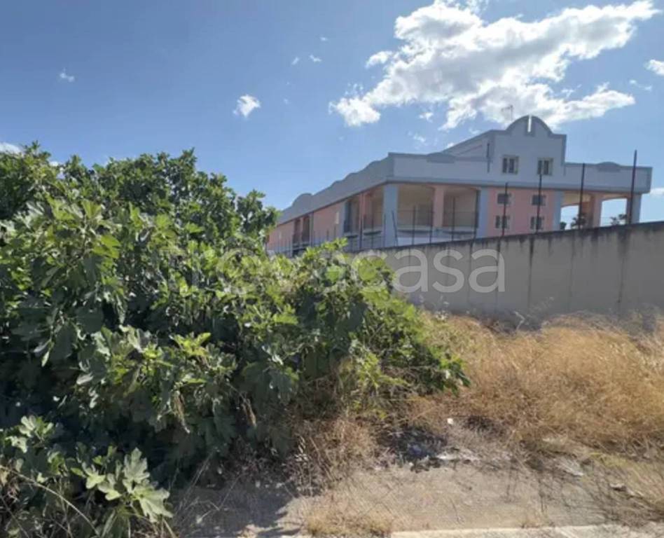 immagine annuncio 10 di 12