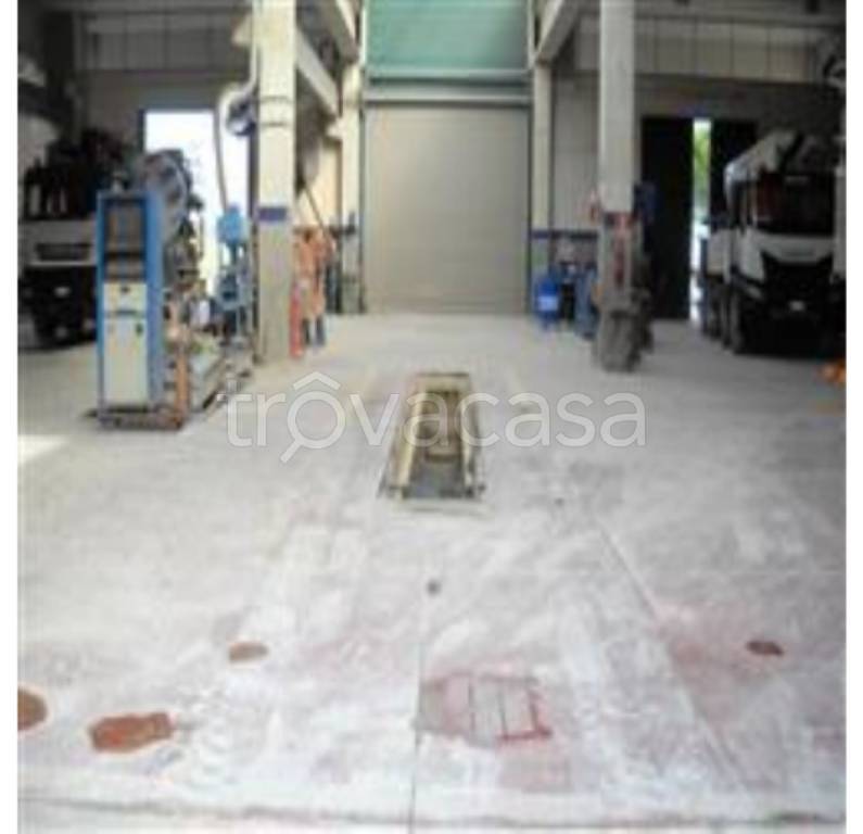 immagine annuncio 2 di 12