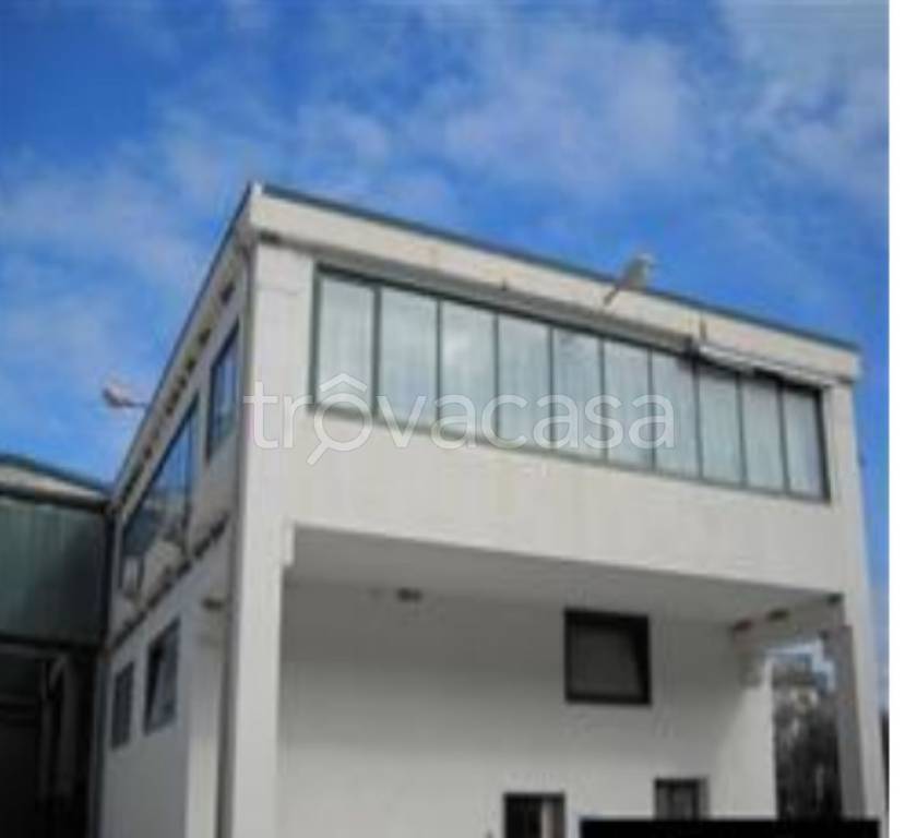 immagine annuncio 5 di 12