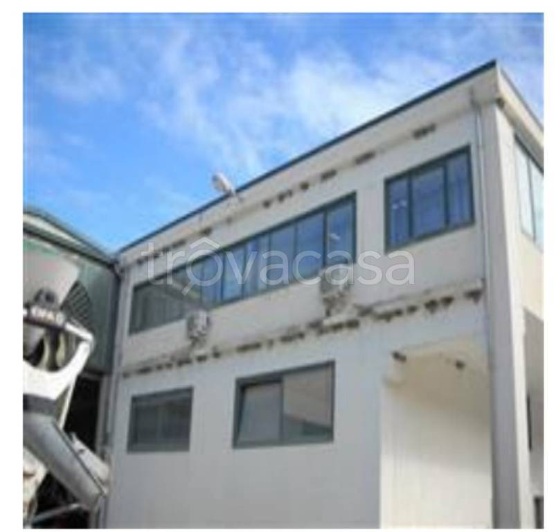 immagine annuncio 6 di 12