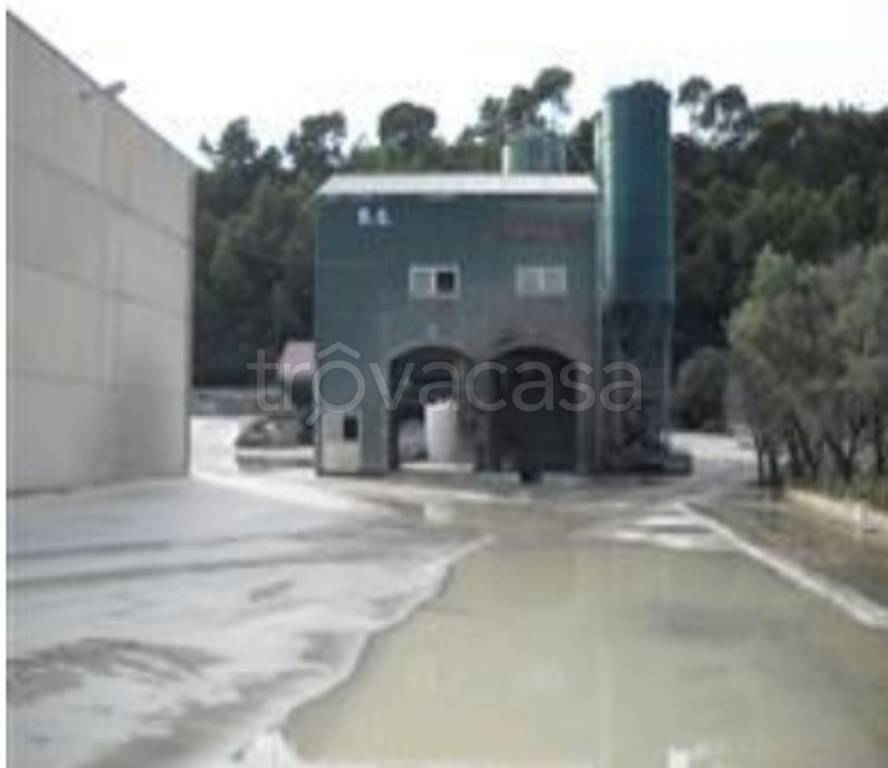 immagine annuncio 8 di 12