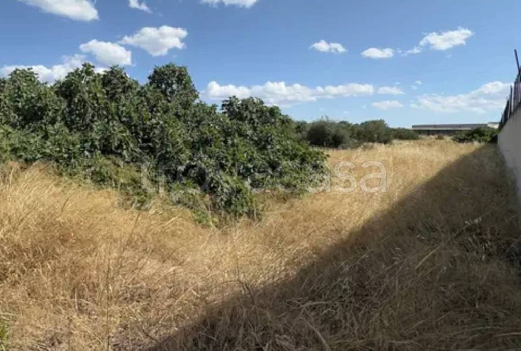 immagine annuncio 7 di 13