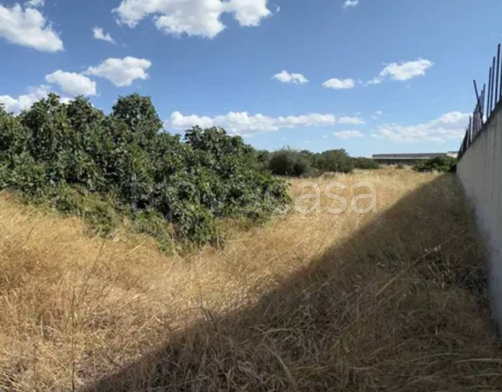 immagine annuncio 9 di 13