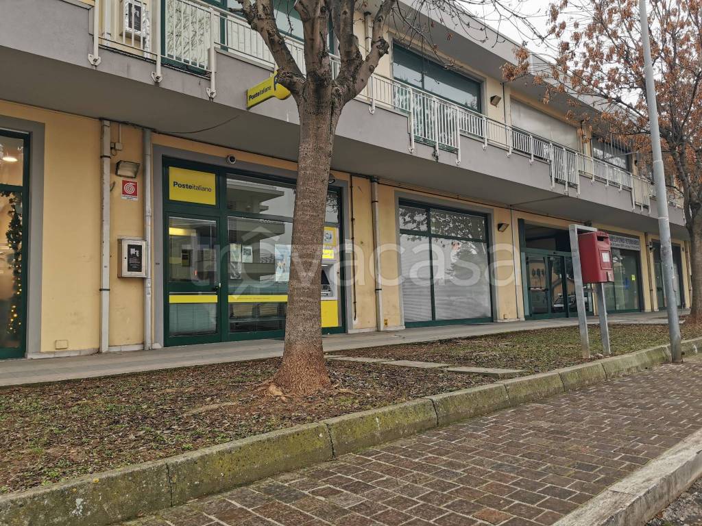 immagine annuncio 1 di 3