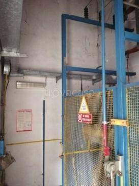 immagine annuncio 3 di 7