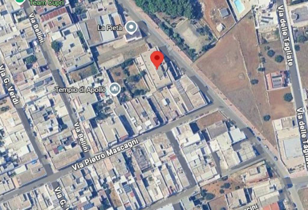 immagine annuncio 2 di 14