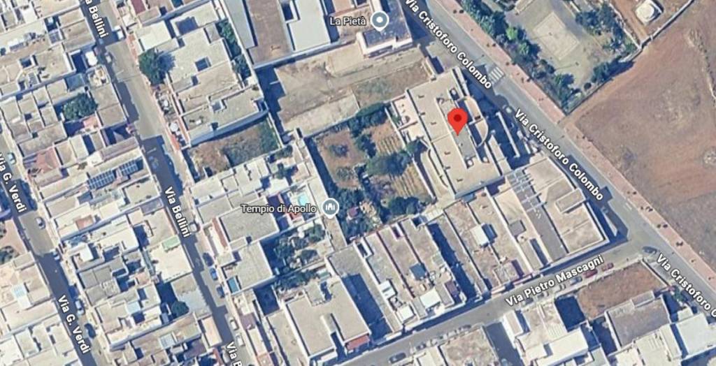 immagine annuncio 6 di 14