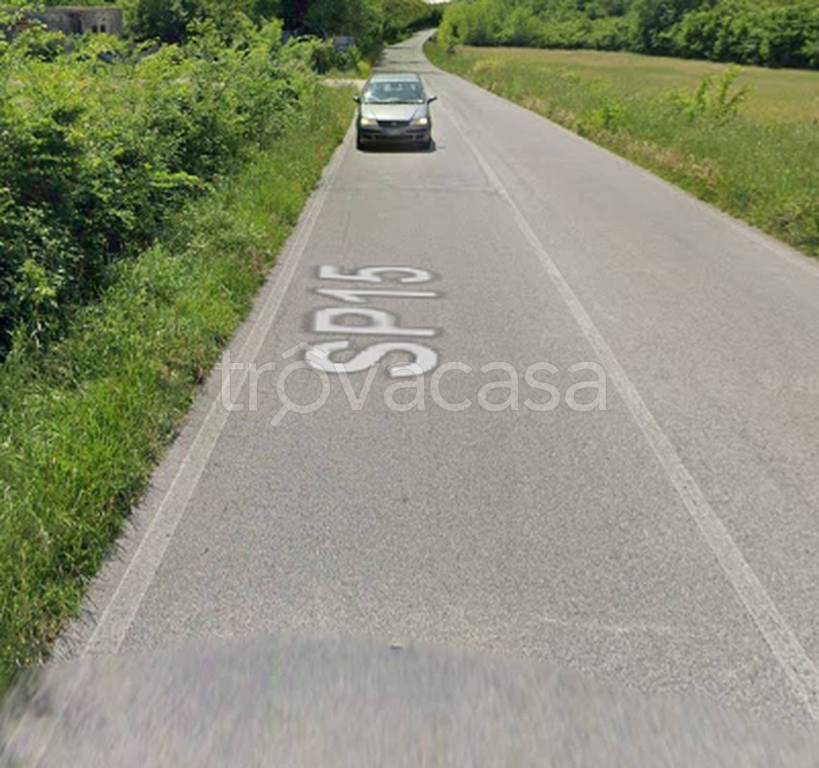 immagine annuncio 3 di 11