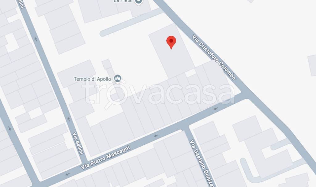 immagine annuncio 9 di 14