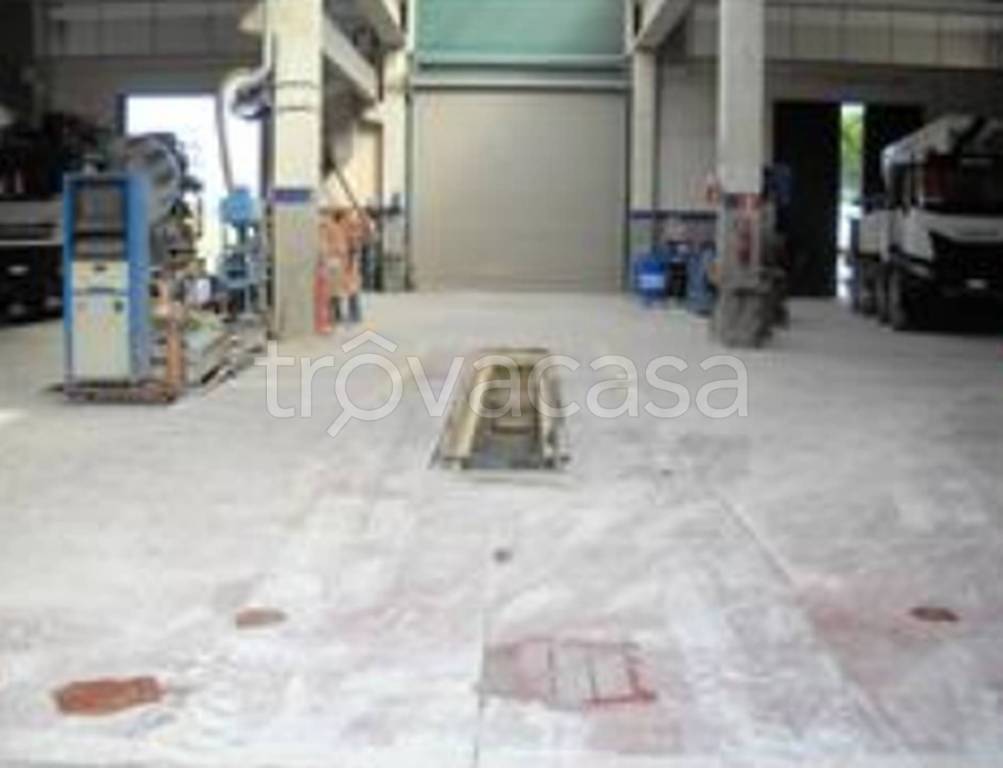 immagine annuncio 2 di 12