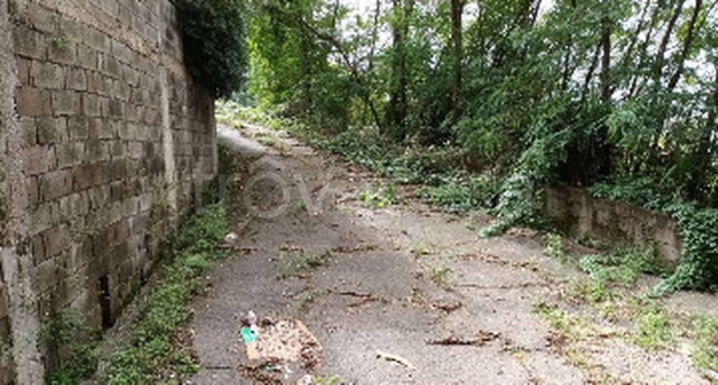 immagine annuncio 5 di 11