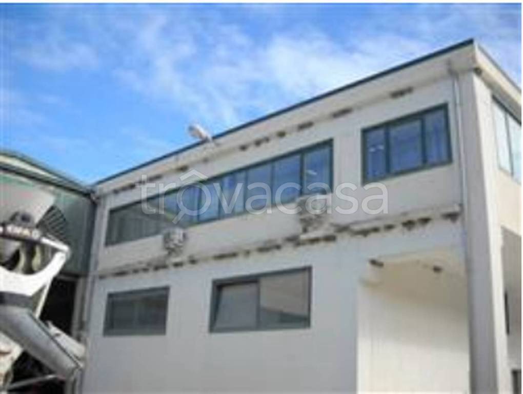 immagine annuncio 8 di 12