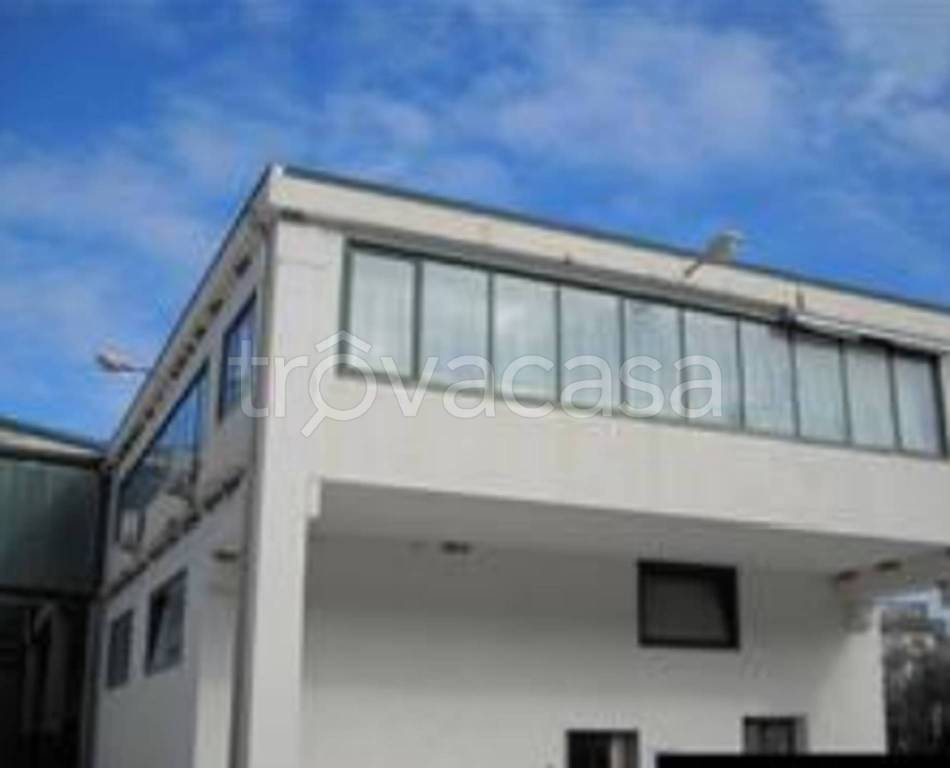 immagine annuncio 9 di 12