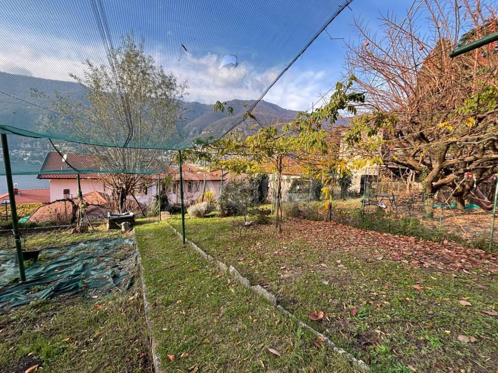 immagine annuncio 4 di 9