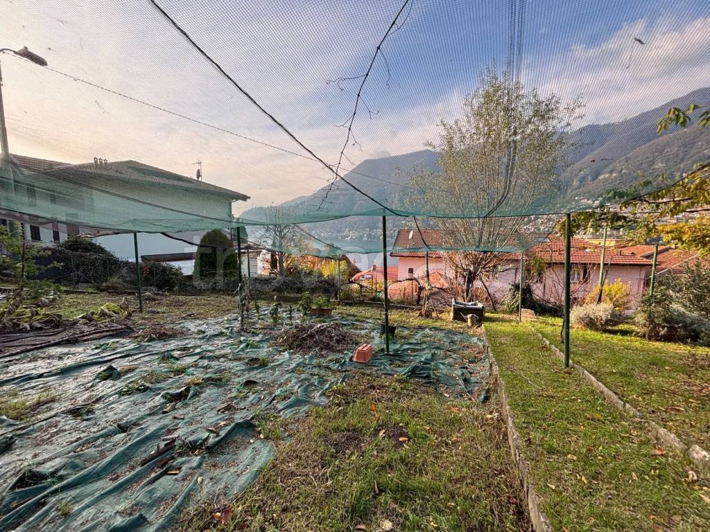 immagine annuncio 5 di 9