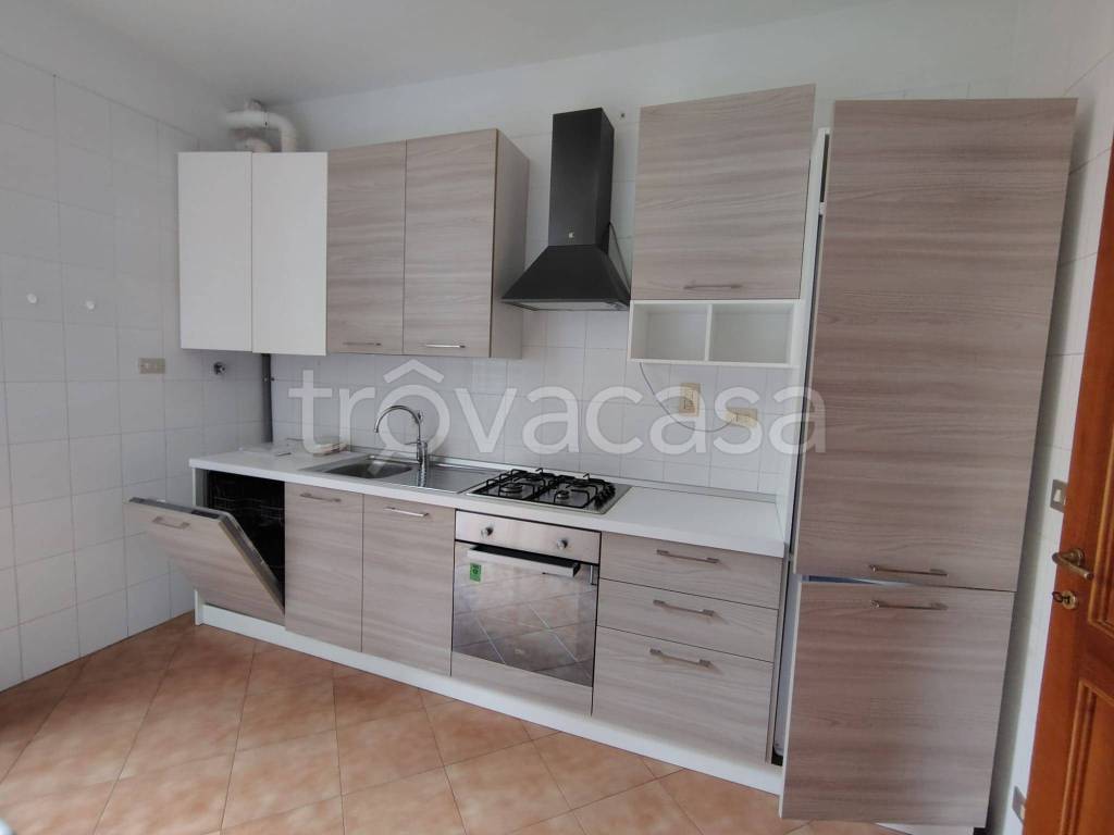 immagine annuncio 3 di 13