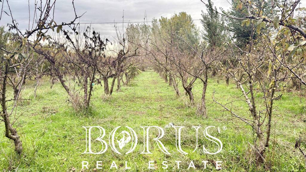 immagine annuncio 1 di 11