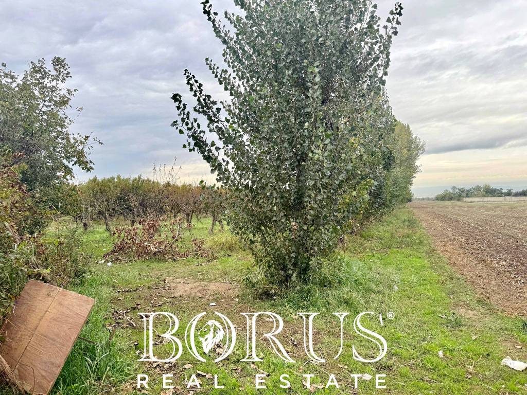 immagine annuncio 4 di 11