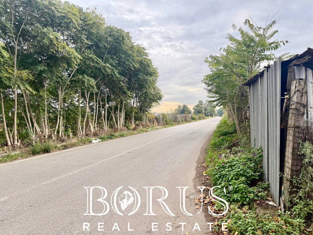 immagine annuncio 6 di 11