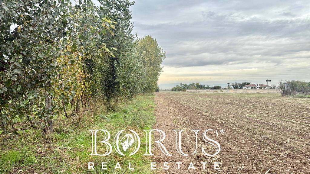 immagine annuncio 7 di 11