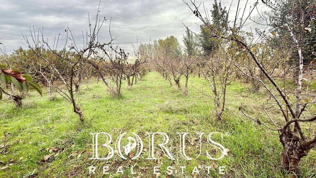 immagine annuncio 9 di 11