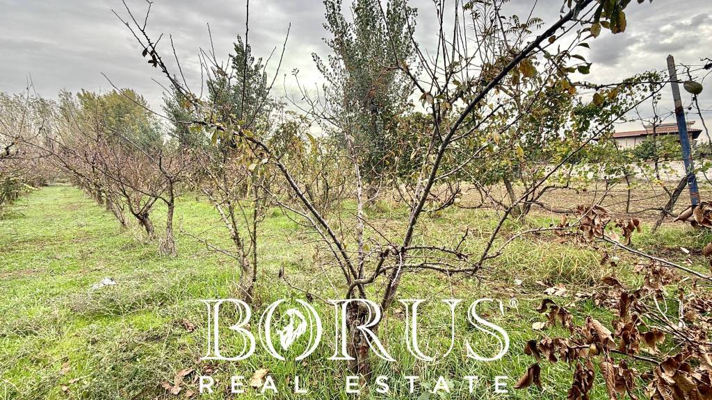 immagine annuncio 8 di 11