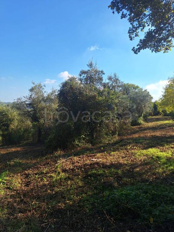 immagine annuncio 4 di 12