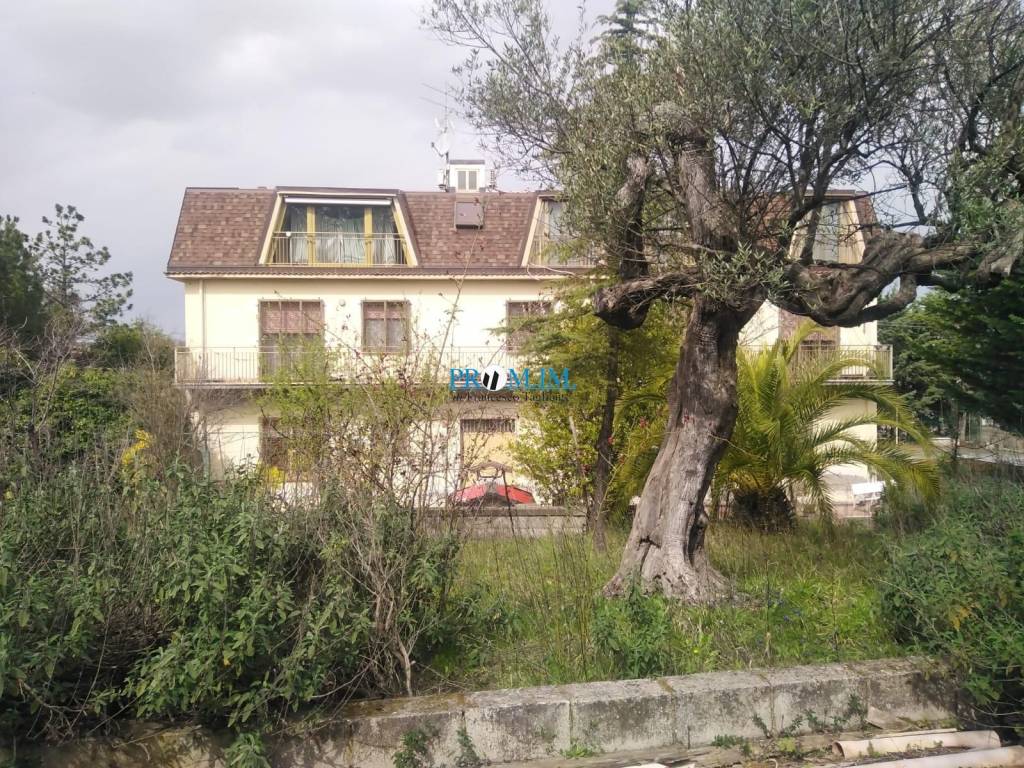 immagine annuncio 2 di 9