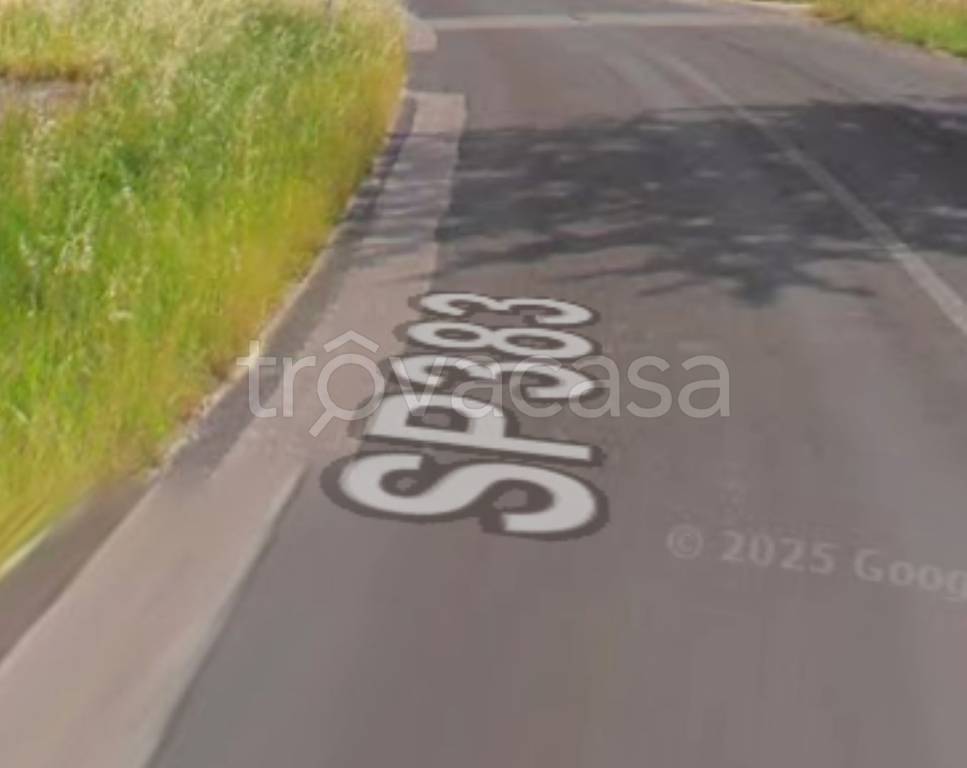 immagine annuncio 8 di 12