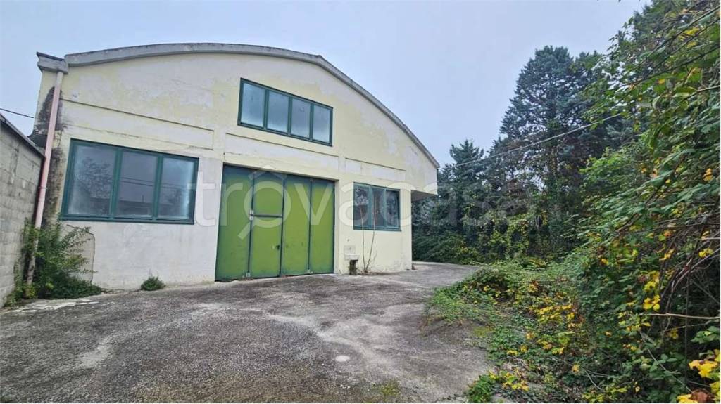 immagine annuncio 1 di 11