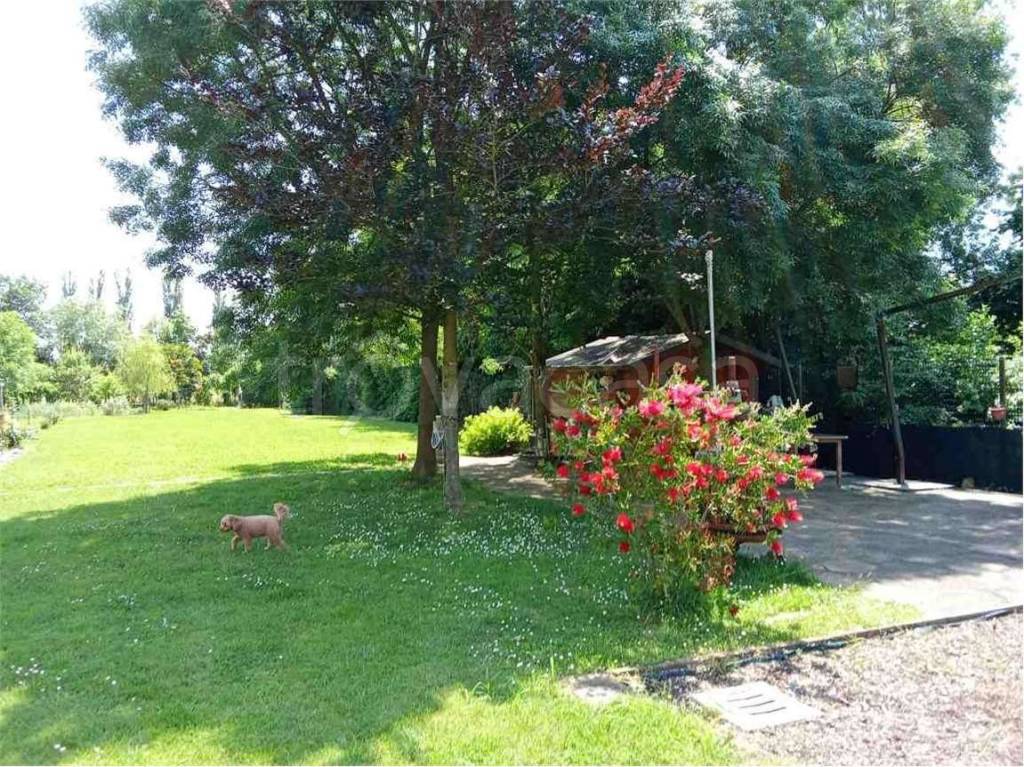 immagine annuncio 5 di 15