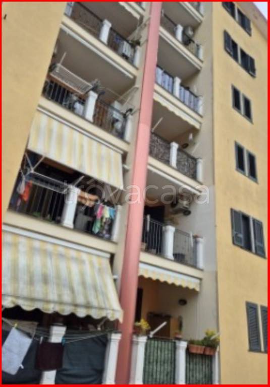 immagine annuncio 6 di 12