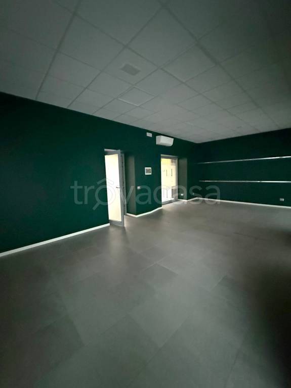 immagine annuncio 2 di 7