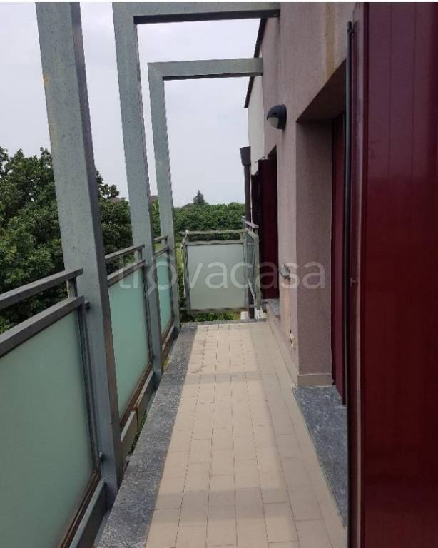 immagine annuncio 3 di 8