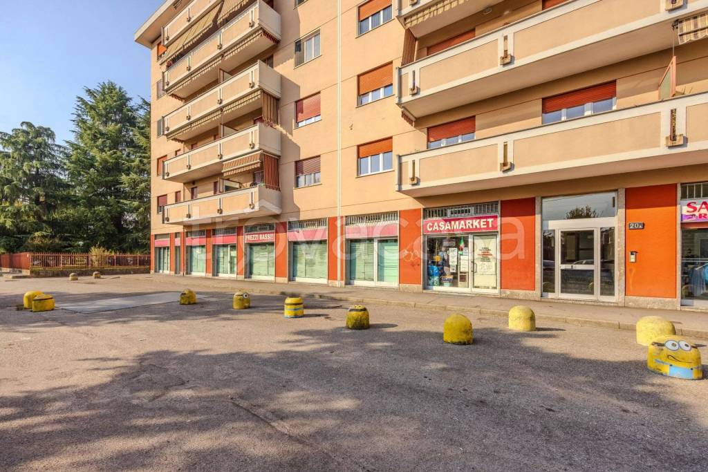 immagine annuncio 6 di 15