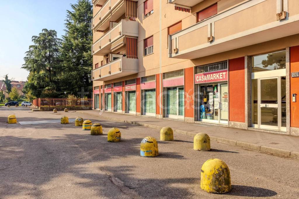 immagine annuncio 8 di 15