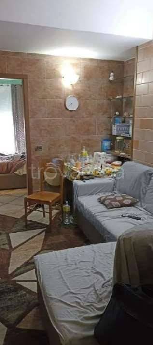 immagine annuncio 9 di 14