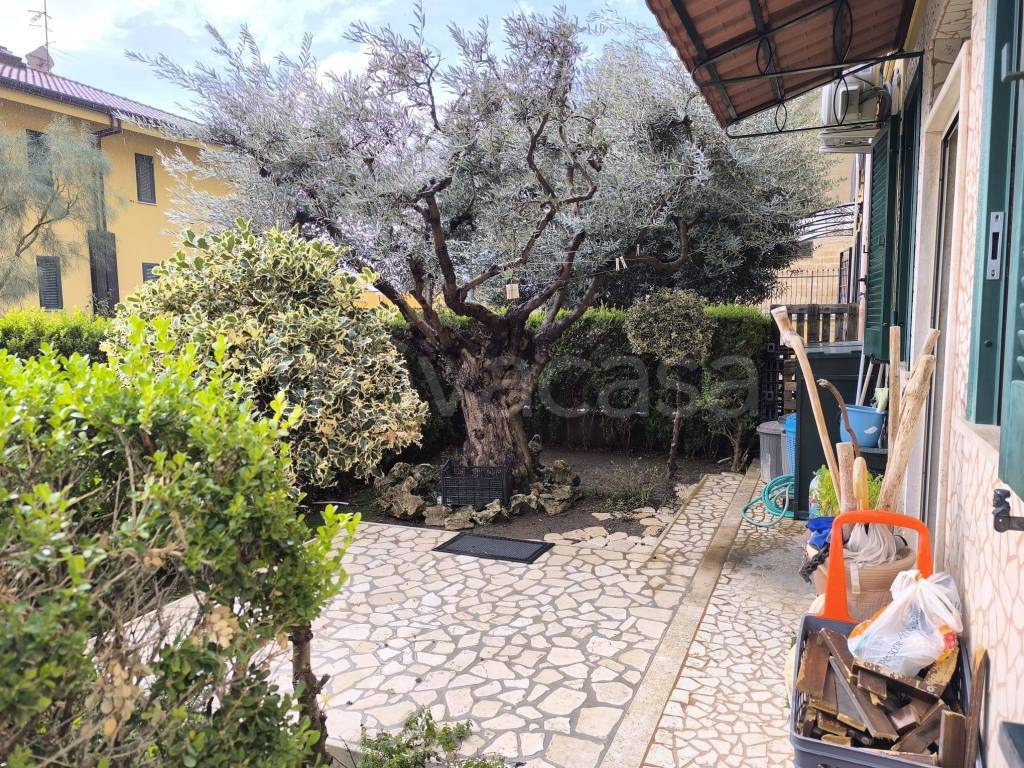 immagine annuncio 7 di 15