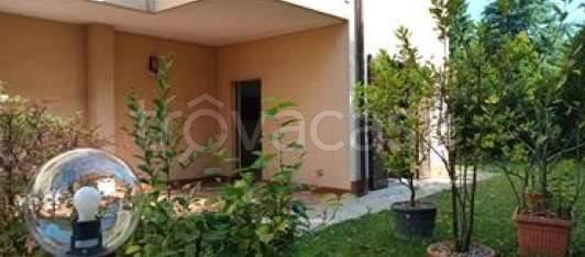 immagine annuncio 2 di 12