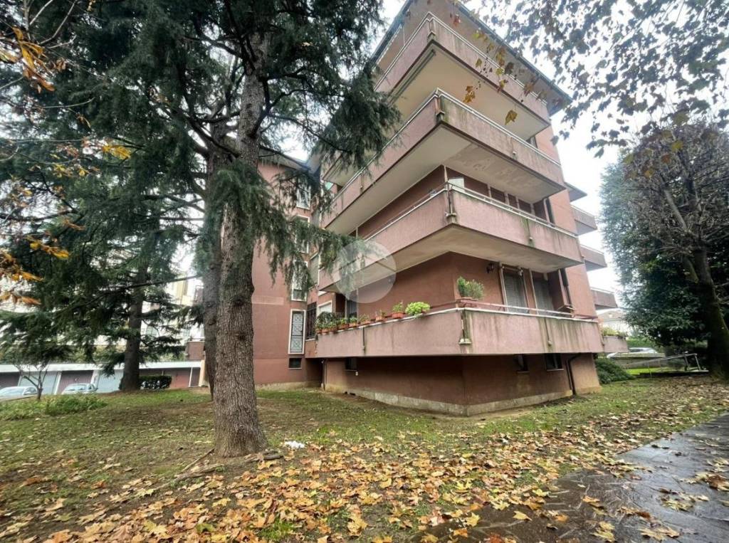 immagine annuncio 3 di 8