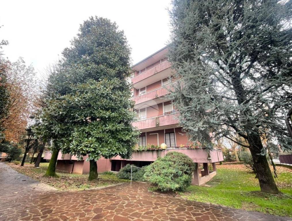 immagine annuncio 4 di 8