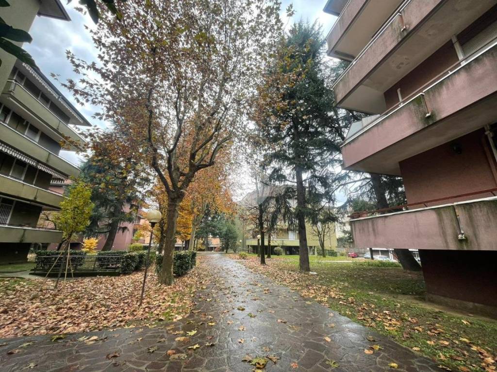 immagine annuncio 5 di 8