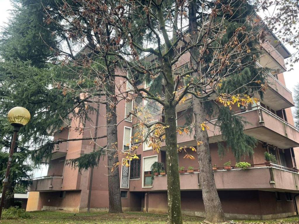 immagine annuncio 6 di 8