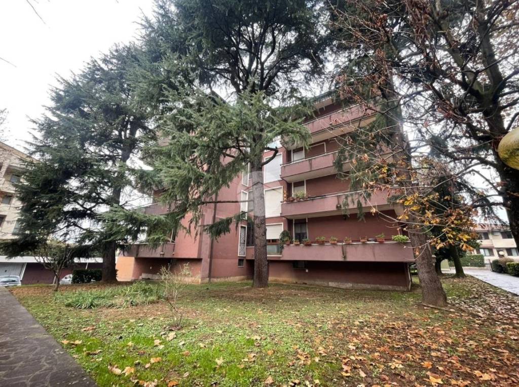 immagine annuncio 7 di 8