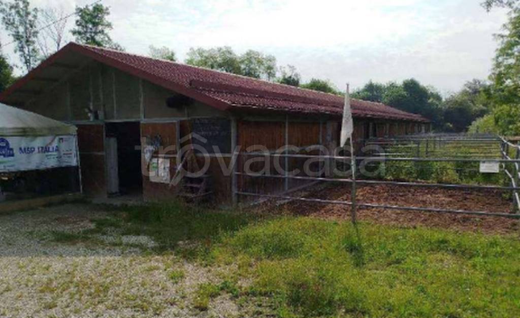 immagine annuncio 1 di 11