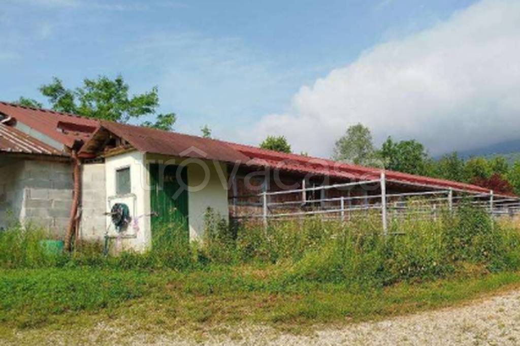 immagine annuncio 3 di 11