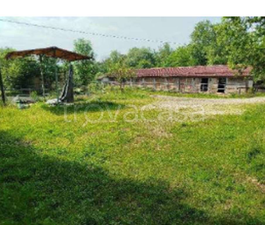 immagine annuncio 8 di 11