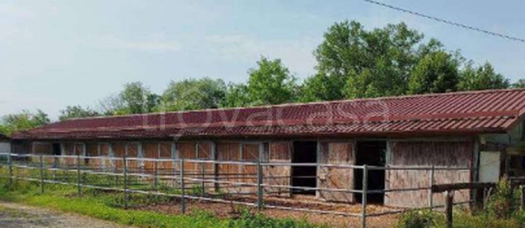 immagine annuncio 9 di 11