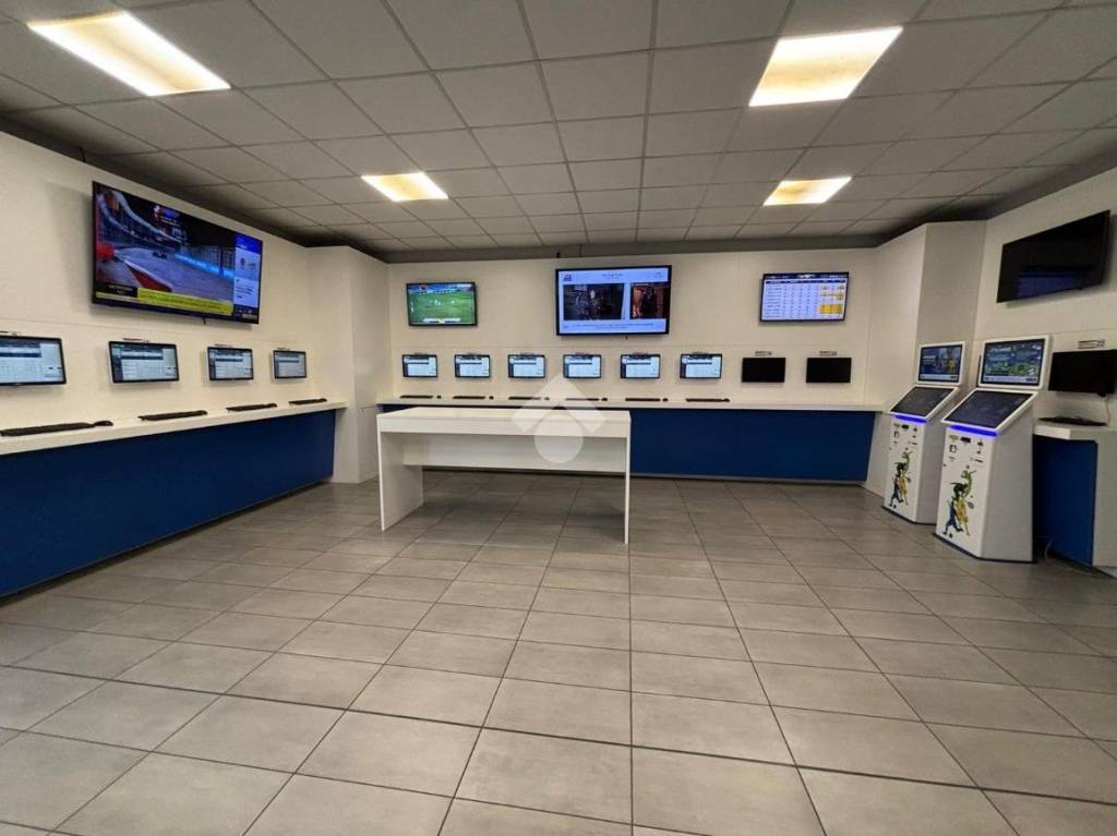 immagine annuncio 2 di 11